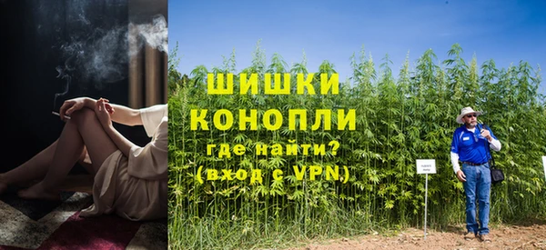 ПСИЛОЦИБИНОВЫЕ ГРИБЫ Надым