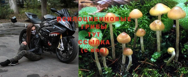 спайс Наволоки