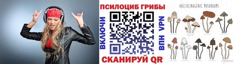 Галлюциногенные грибы прущие грибы  Чкаловск 